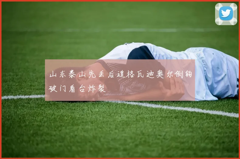 山东泰山先丢后追格瓦迪奥尔倒钩破门看台炸裂