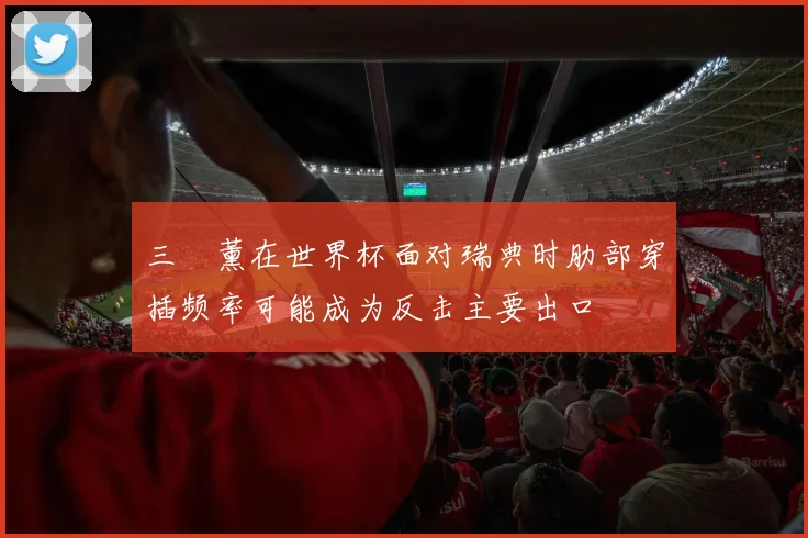 三笘薰在世界杯面对瑞典时肋部穿插频率可能成为反击主要出口