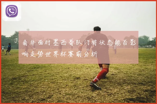 南非面对墨西哥队门将状态能否影响走势世界杯赛前分析