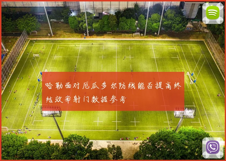 哈勒面对厄瓜多尔防线能否提高终结效率射门数据参考