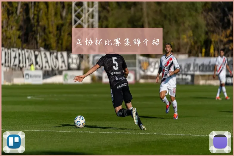 足协杯比赛集锦介绍